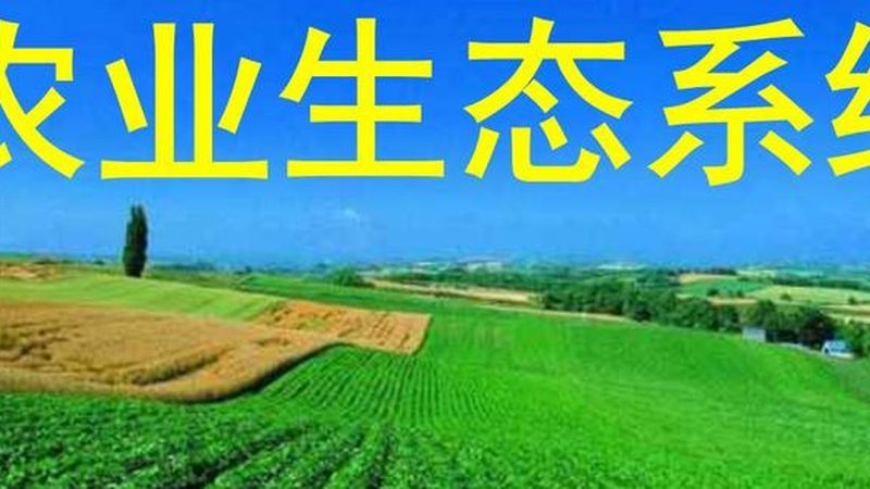 以下列举几个主流的农产品电商平台，供大家参考：