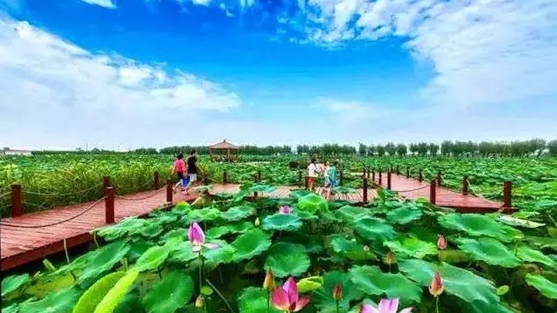 生鲜配送公司哪家好