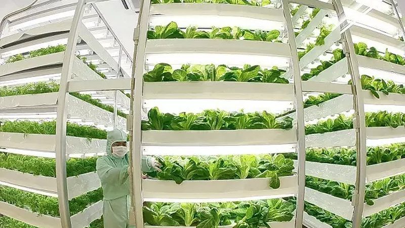 农业用地选址：科学规划，提升产出**