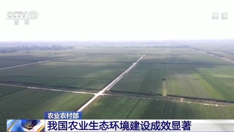 智能灌溉系统：精准农业的“智慧之眼