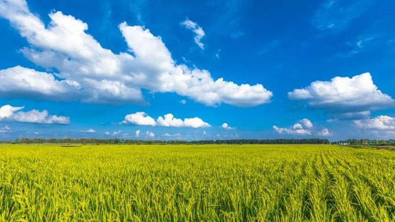 农民专业合作社注册材料清单PDF