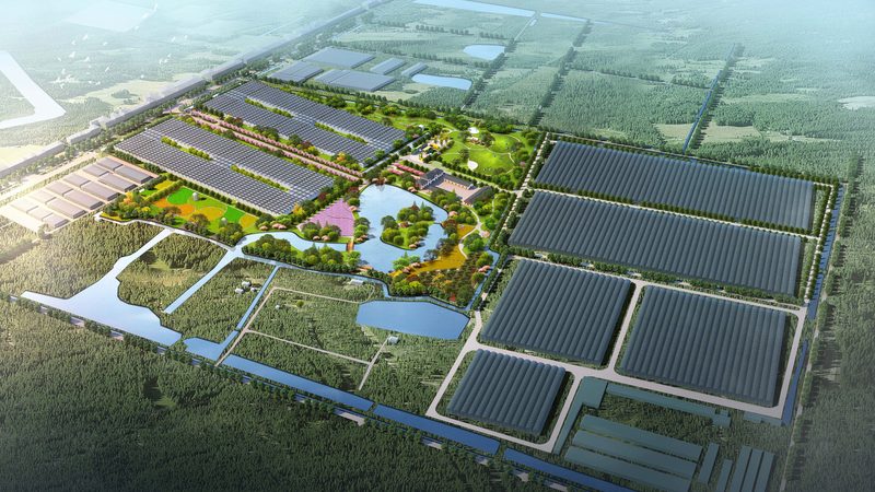 合作社贷款手续繁琐？一张图理清全流程