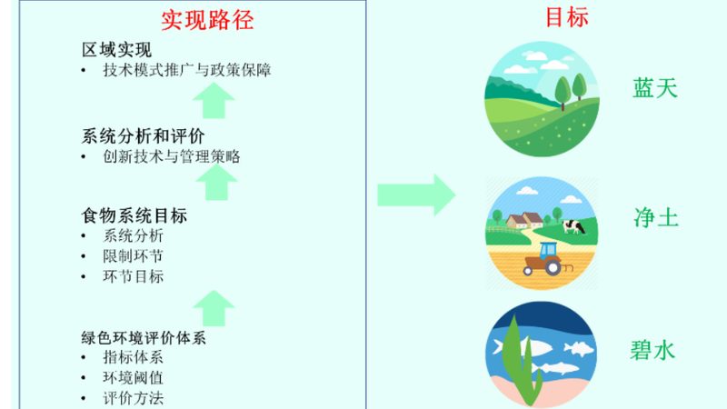 大棚蔬菜种植：技术标准如何确保高效与合规**