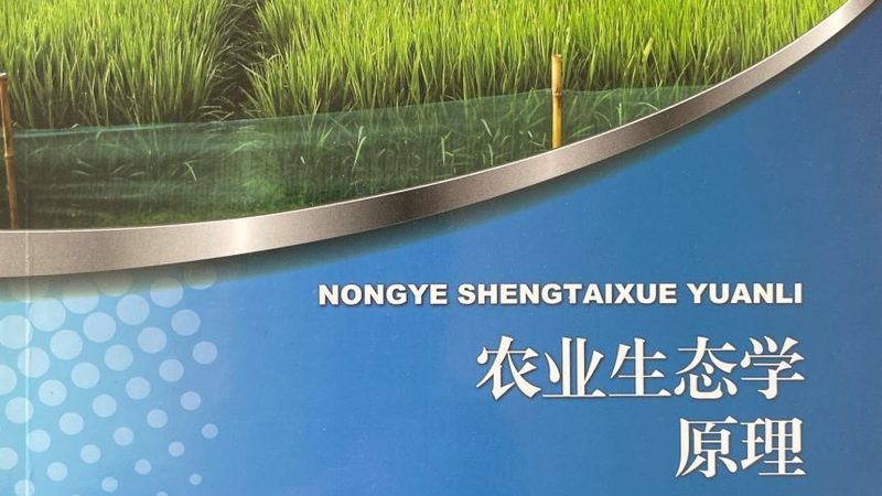 蔬菜基地的土壤正在经历一场无声的透支