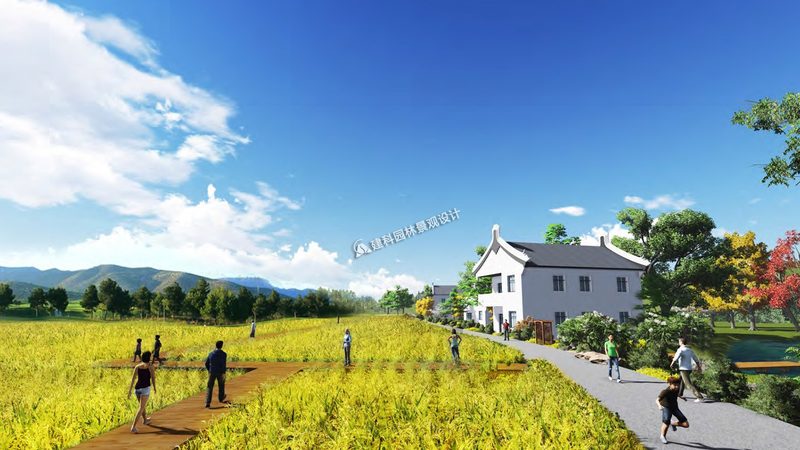 2025年有机蔬菜批发价，看这五点就够了